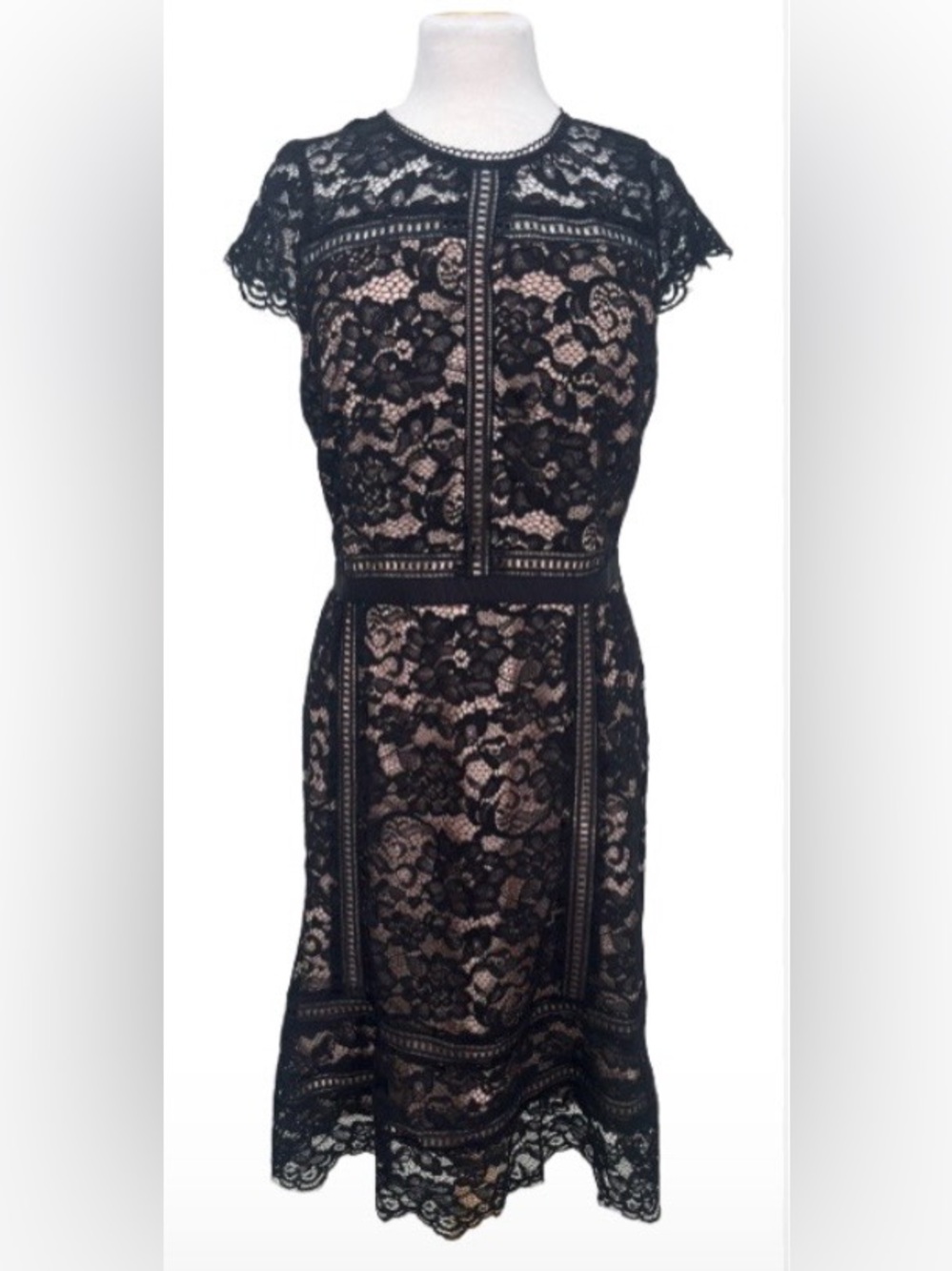 Size 14 WHBM Lace Dress